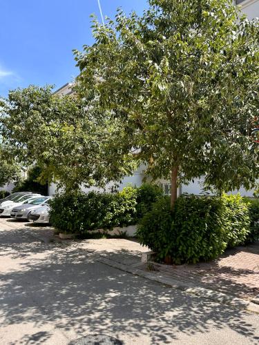 Apartment Tranquilo