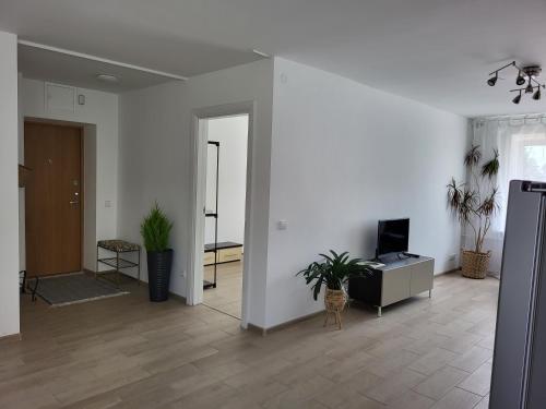ビルジャイにあるJOREDA apartamentaiの白い壁と植物が飾られたリビングルーム