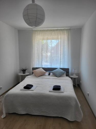 a bedroom with a large bed with a large window at JOREDA apartamentai in Biržai
