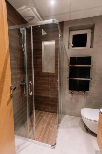a shower with a glass door in a bathroom at ZLATIBOR HIGHLAND in Zlatibor