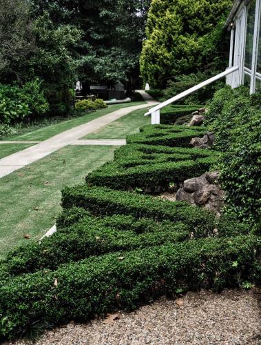 a hedge in front of a house with a driveway at Cleopatra Mountain Farmhouse in Fort Nottingham