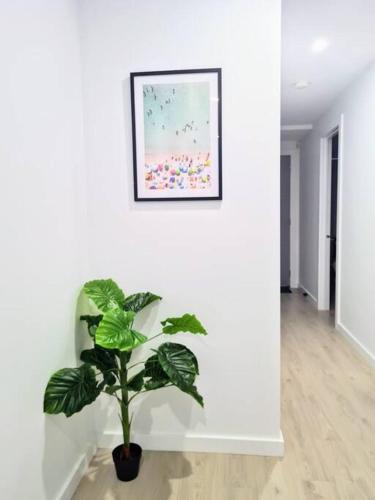 a plant in a pot on a wall with a picture at Sunshine Harmony Retreat (1A) in Sunshine