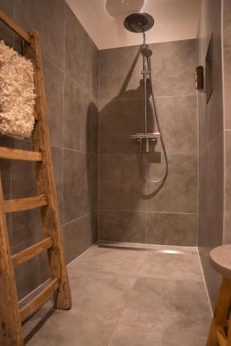 a bathroom with a shower with a ladder at TweeZeven in Guelle