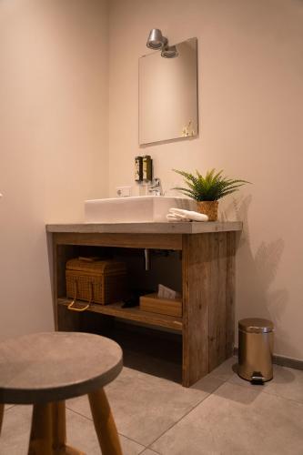 a bathroom with a sink and a mirror at TweeZeven in Guelle