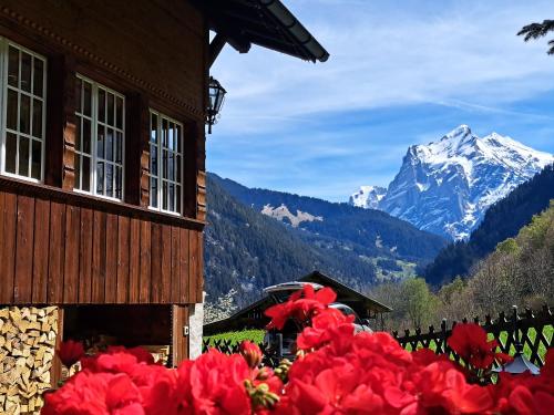 Gallery image of Alpenparadies Grindelwald in Grindelwald