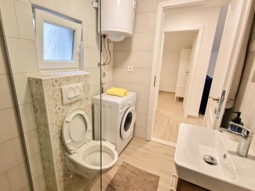 ein Bad mit einem WC und einem Waschbecken in der Unterkunft Apartments Rudelinka in Karlobag