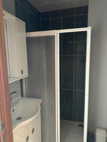 a bathroom with a shower and a toilet and a sink at PİNK POİNT APART in Didim