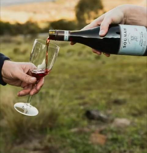 a person pouring a bottle of wine into a wine glass at פינה ביער in Tsiv'on