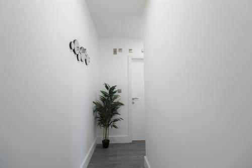 una planta en una habitación con una pared blanca en F6 Hammonds Row, en Preston