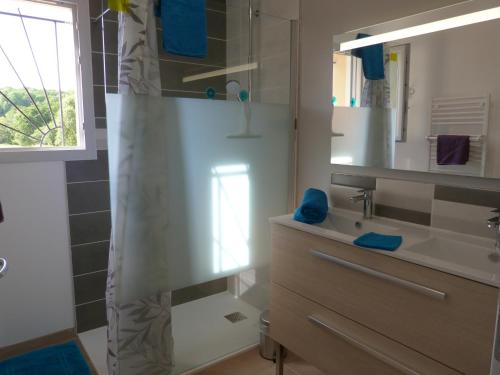 a bathroom with a shower curtain and a sink at Domaine des Hameaux du Lac - BG in Saint-Pardoux