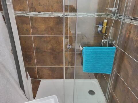 La salle de bains est pourvue d'une douche, de toilettes et d'un lavabo. dans l'établissement chambre avec vue, à Duilhac-sous-Peyrepertuse