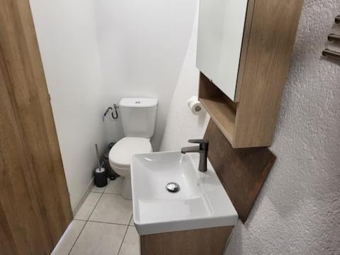 a bathroom with a white toilet and a sink at chambre avec vue in Duilhac
