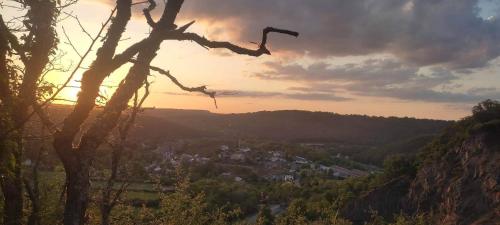 ゲストハウスの近くで見られる自然の景観