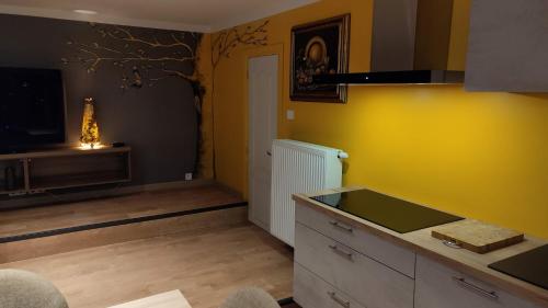 a kitchen with a sink and a yellow wall at Camp paradis in Vireux-Molhain