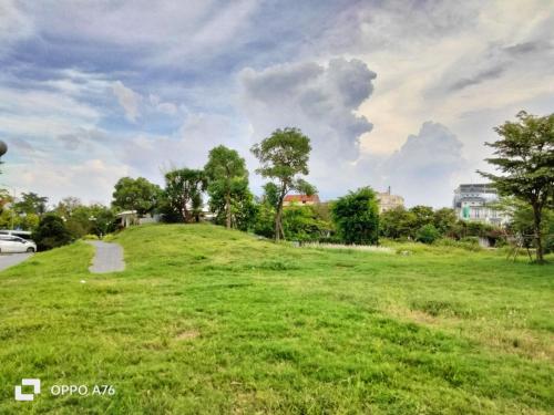 a grassy hill with trees and a cloudy sky at Happiest Homestay 2 - Manor Crown Hue in Thôn Trường Giang