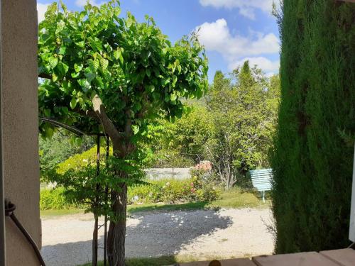 a view of a garden with a tree and a bench at Le Jas Du Colombier in Moustiers-Sainte-Marie