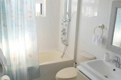 een badkamer met een douche, een toilet en een wastafel bij Richview Gardens Suite in Toronto