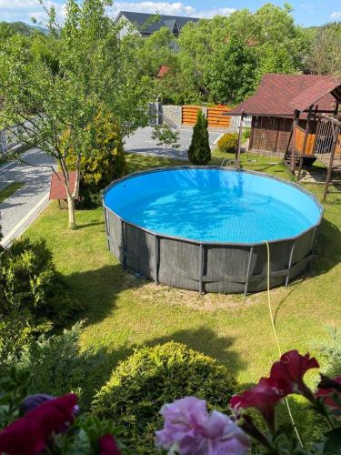 Piscina en o cerca de Гніздо Беркута