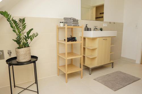 ein Badezimmer mit einem Waschbecken, einem Regal und einem Waschbecken in der Unterkunft HOMY I Stadtrandflair im Süden Leipzigs - Netflix in Leipzig