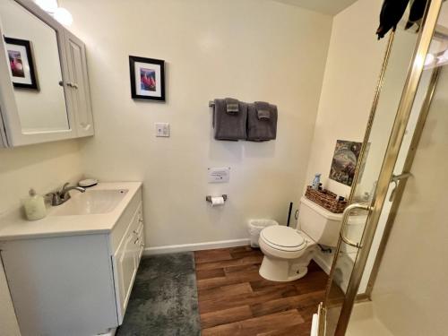 Kúpeľňa v ubytovaní Denali National Park 2 King Bedroom Hideaway with Amazing Views