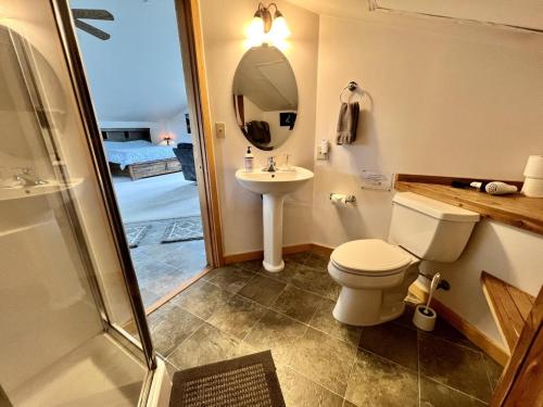 La salle de bains est pourvue de toilettes, d'un lavabo et d'une douche. dans l'établissement Denali King Suite with Amazing Views, à Healy