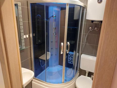 a shower with a glass door in a bathroom at Apartment AB Batala in Dubrovnik