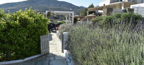 Gallery image of Ursa Major Suites in Tinos Town