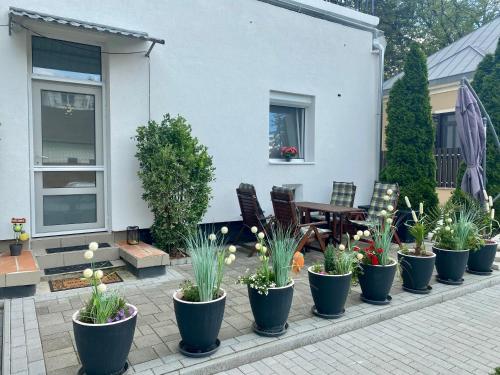 a row of potted plants in front of a house at Pihi-Lak Apartman Siófok in Siófok