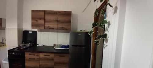 a kitchen with a black refrigerator and a counter at Wypoczynek na wsi in Tomaszów Lubelski