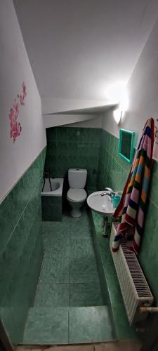 a green bathroom with a toilet and a sink at Wypoczynek na wsi in Tomaszów Lubelski