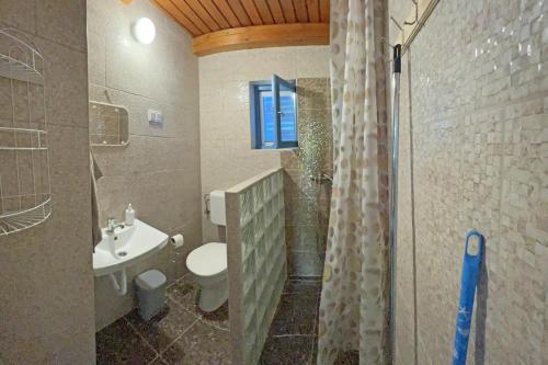 y baño con aseo, lavabo y ducha. en Villa Popeye Jakuzzis nyaralóház, en Békésszentandrás