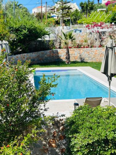a swimming pool with an umbrella and some bushes at Cost Mari Almyrida New by ZAGO Boutiqe hotels in Almirida