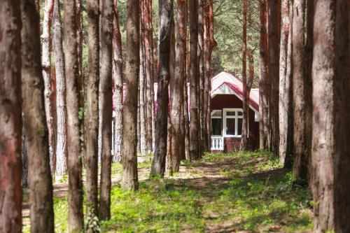Gallery image of Narin Qala Resort in Sheki