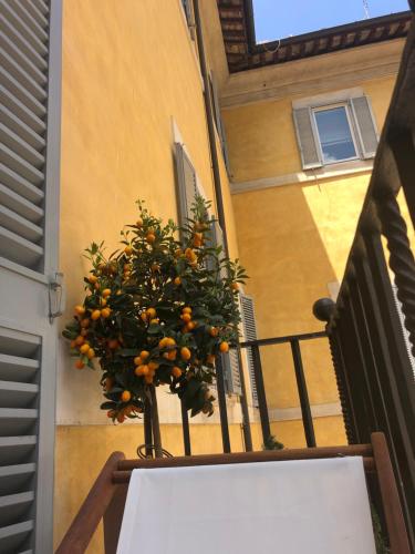 NEW! BELLISSIMO PalazzoFranchi Pantheon