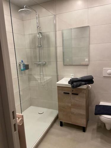 une salle de bain avec une douche, un lavabo et des toilettes dans l'établissement Le petit Luxembourg, à Valleraugue