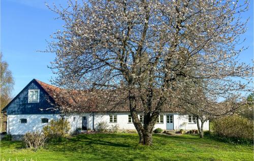 a tree in front of a white house at 5 Bedroom Awesome Home In Simrishamn in Simrishamn