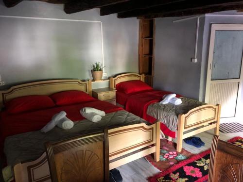 Dos camas con animales de peluche en un dormitorio en Guesthouse Kujtimi, en Theth