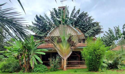 a house with a palm tree in front of it at Edaala Comfort - B&B in Nairobi