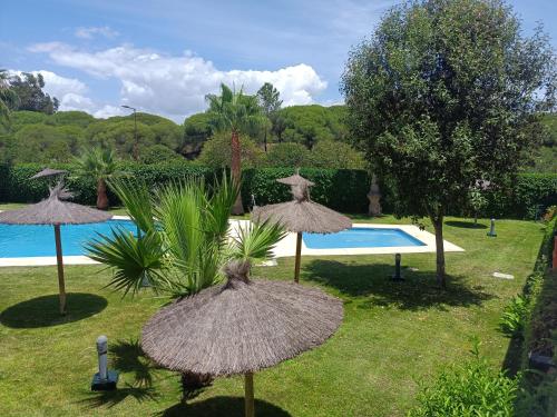 un grupo de sombrillas de paja junto a una piscina en Islantilla - Bajo con Jardín en Golf Islantilla en Huelva