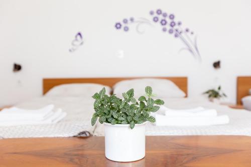 a potted plant sitting on a table in front of a bed at Apartments and Rooms Ješelnik in Portorož