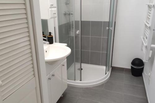 La salle de bains est pourvue d'une douche et d'un lavabo. dans l'établissement Maison de ville 600 m du Marché, à La Rochelle