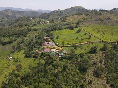 an aerial view of a house on a hill at Bwindi My Home in Kachulagenyi