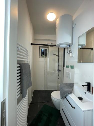 uma casa de banho com um WC, um lavatório e um chuveiro em GROSS - REAL ESTATE em Leoben