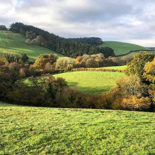 a green field with trees in the distance at Tree house and shepherds hut in Ashburton