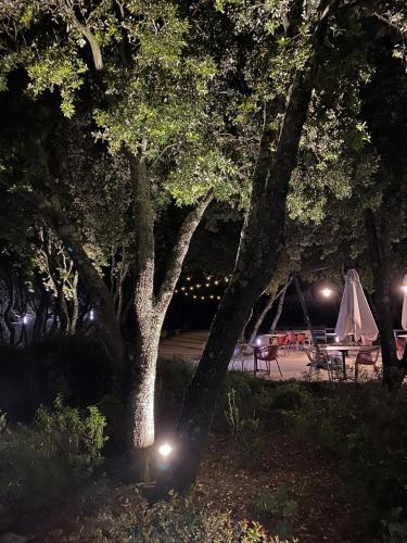 a park at night with a picnic table and a tent at Logis Hôtel La Bastide De Grignan & Restaurant "La Chênaie" in Grignan