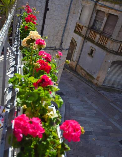 a bunch of pink flowers on a balcony at Una Biancasa in Carovigno