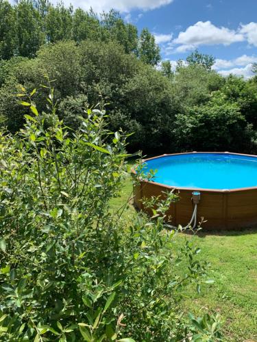 a swimming pool in a yard next to a bush at Cornouaille / Domaine la Blanche Hermine in Plounérin