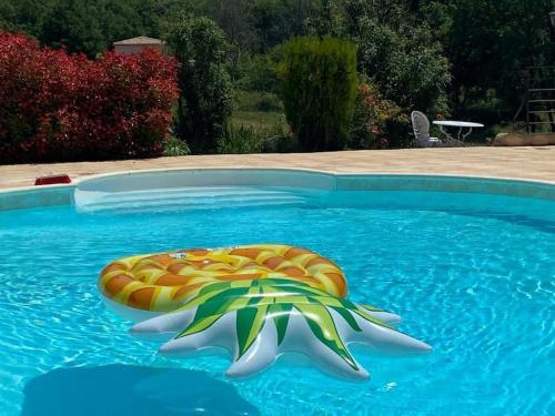 - une piscine avec une étoile de mer dans l'eau dans l'établissement Gorges du Verdon : Guest house avec piscine, à Baudinard