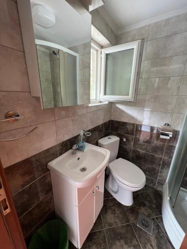 a bathroom with a sink and a toilet and a mirror at Apartman Tristan in Herceg-Novi