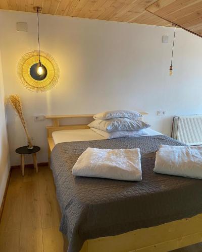 a bedroom with two beds in a room at Pensiunea Bradet - Padis in Padis